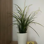Hausburg Studio. View Apartment